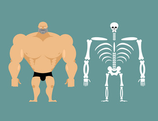 Human structure skeleton men construction Vector Image
