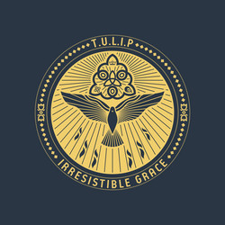 john calvins tulip irresistible grace Vector Image