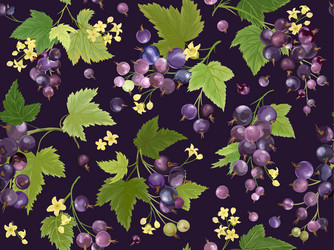 watercolor black currant seamless pattern summer vector