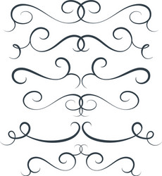 flourish set scroll collection curl vector image