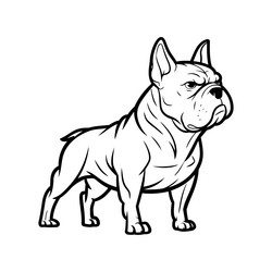French Bulldog Portrait Vector Image
