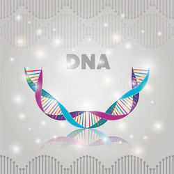 DNA Helix Structure - Double Helix Pattern vector image