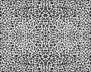 seamless leopard pattern vector image