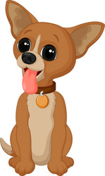 Cartoon chihuahua dog vector