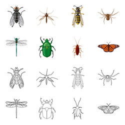 isolated object of insect and fly logo set vector image