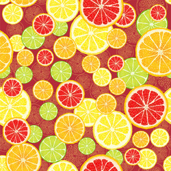 seamless pattern with fruit slices various vector image