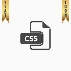 css file icon vector image