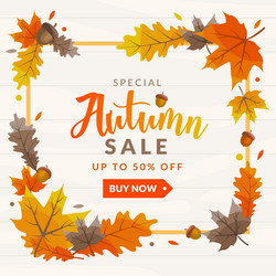 autumn sale discount template Vector Image