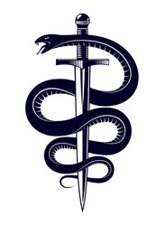 snake and dagger serpent wraps around a sword vector image