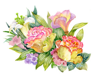 Watercolor Roses Summer Garden Vector Image