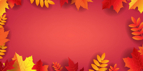 Autumn poster with lettering text leaves vector