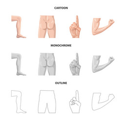 isolated object of human and part icon set vector image