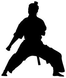 silhouette a female athlete kata karate Vector Image