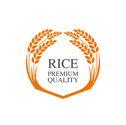 Premium rice great quality design concept vector