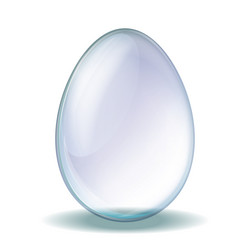 Transparent glass egg vector