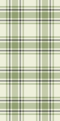 elegant sage green and cream plaid pattern vector image