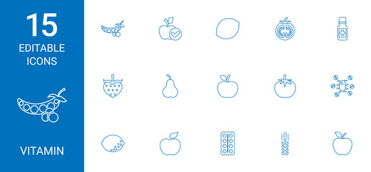 Vitamin icons vector