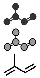 Isoprene Molecule Structure vector image