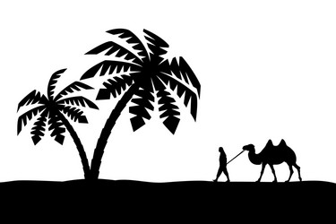 man with camel in palm trees vector