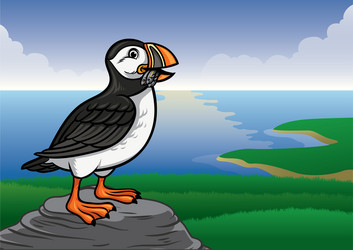 Puffin Vector Images – Browse 5,154 Stock Photos, Vectors, and