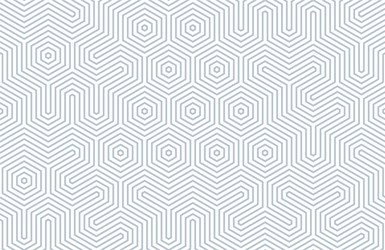 seamless geometric pattern with hexagons and lines vector image