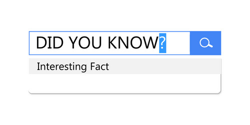 search query in bar for browser template vector image