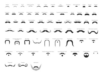 set of mustaches men with name text style vector image