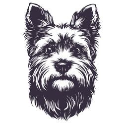 beaver yorkshire terrier a funny little dog Vector Image