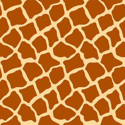 Giraffe Texture Seamless Pattern vector image