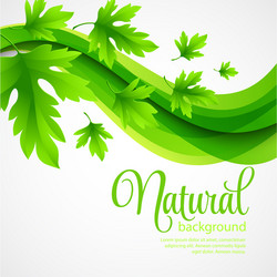 Natural background with green spring leaves vector