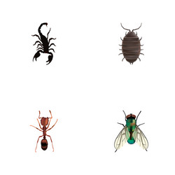 Set of insect realistic symbols with bug wasp vector