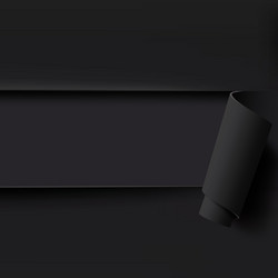 black torn paper background with empty space vector image