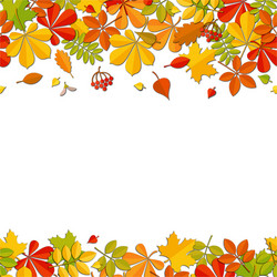 Seamless border autumn falling leaf isolated vector