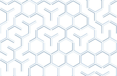 seamless geometric pattern with hexagons and lines vector image