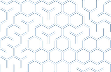 Seamless geometric pattern with hexagons and lines vector