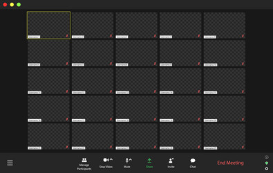 template video conference user interface vector image