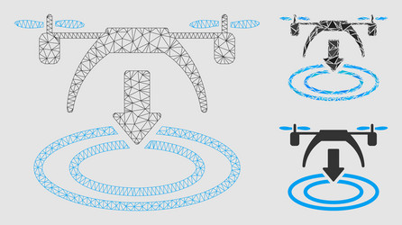 copter landing mesh network model vector image