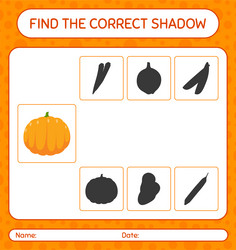 find the correct shadows game with pumpkin vector image