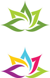 beauty lotus flowers design vector image