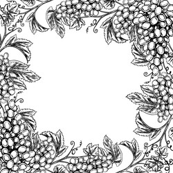 a frame with vines and bunches of grapes vector image