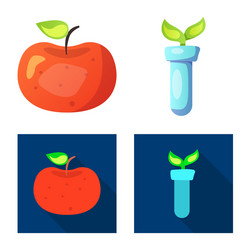 isolated object of and logo set s vector image
