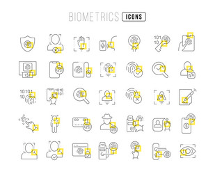 set of linear icons biometrics vector