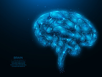 Polygonal human brain on dark blue background vector