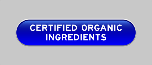 blue color capsule shape button with word vector image