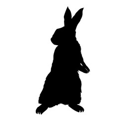 Easter Rabbit Silhouette Vector Image