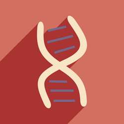 flat with shadow icon and mobile application genes vector image