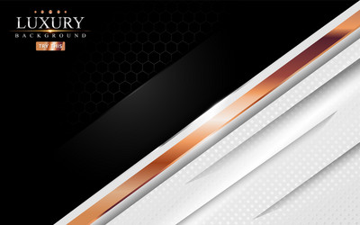Luxury white and black modern background Vector Image