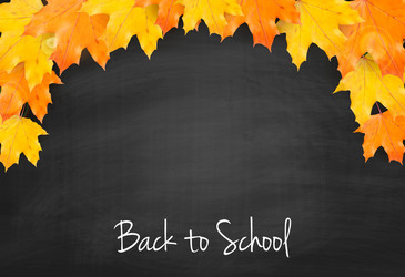 autumn blackboard background with realistic maple vector