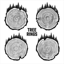 round tree trunk cuts with trees and forest sawn vector image