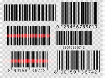 set of barcodes isolated on white background vector image